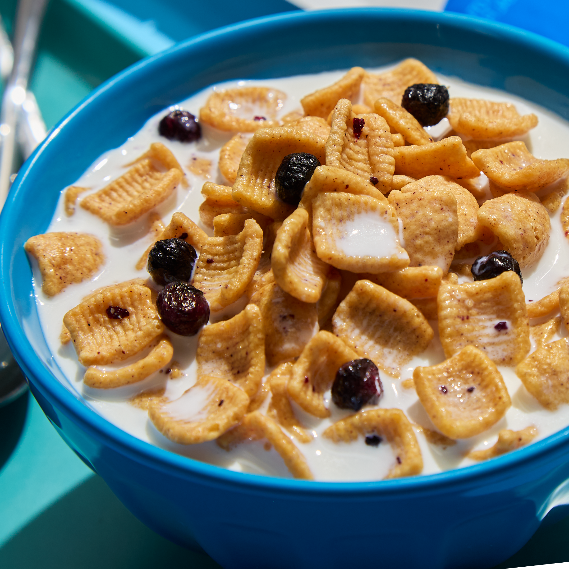 Blueberry Muffin with Blueberries Cereal - Active Ready